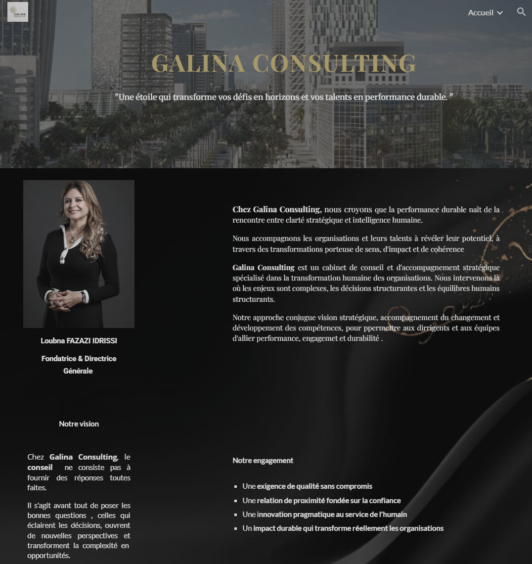 Ancien site Galina Consulting — page d'accueil