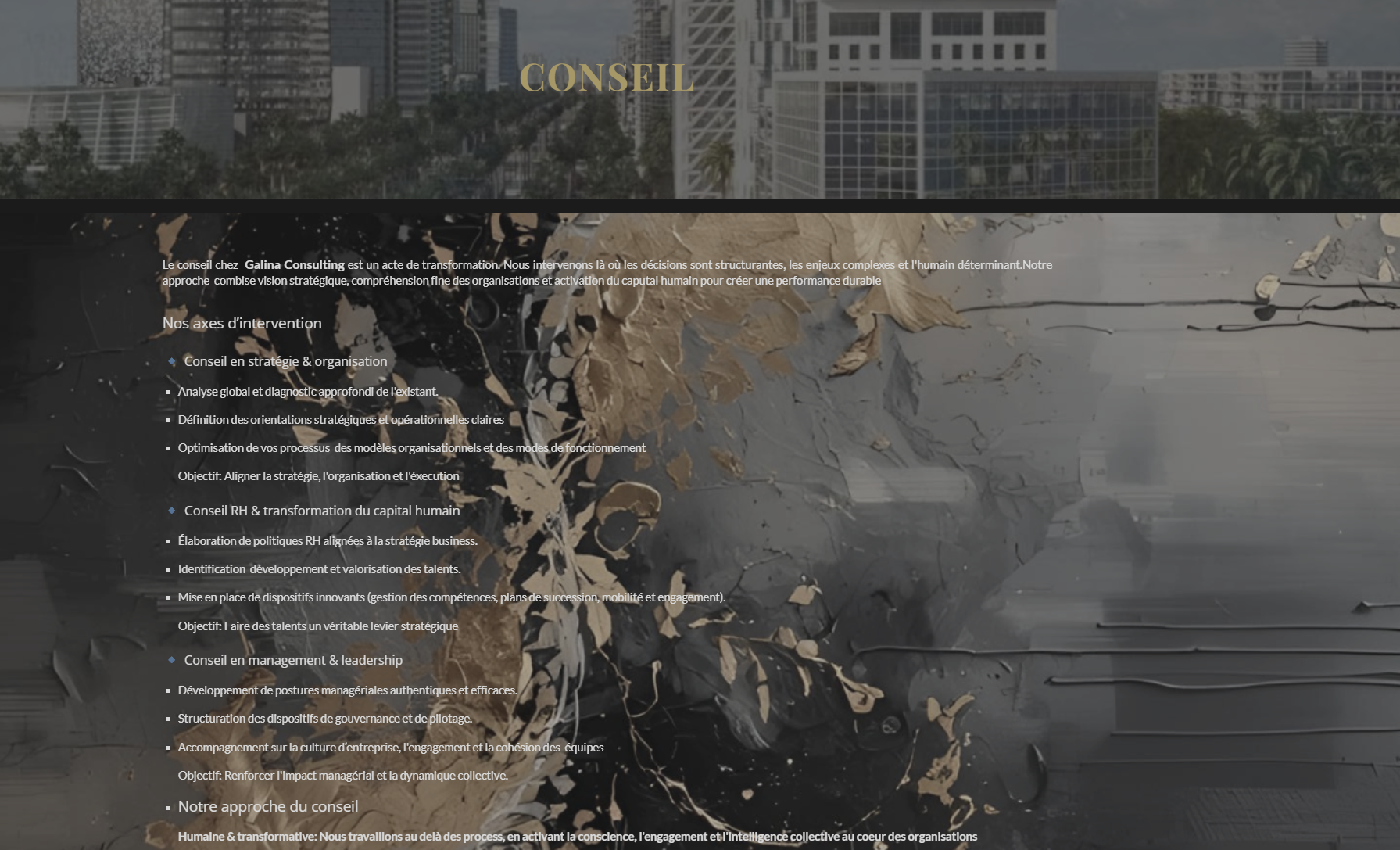 Ancien site Galina Consulting — page conseil